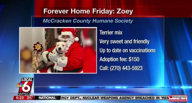 forever home friday zoey.JPG